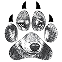 Winter Lakes High School Logo