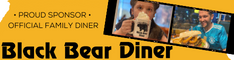BBD-234x60.png Ad