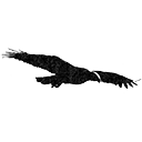 Spray High School Logo